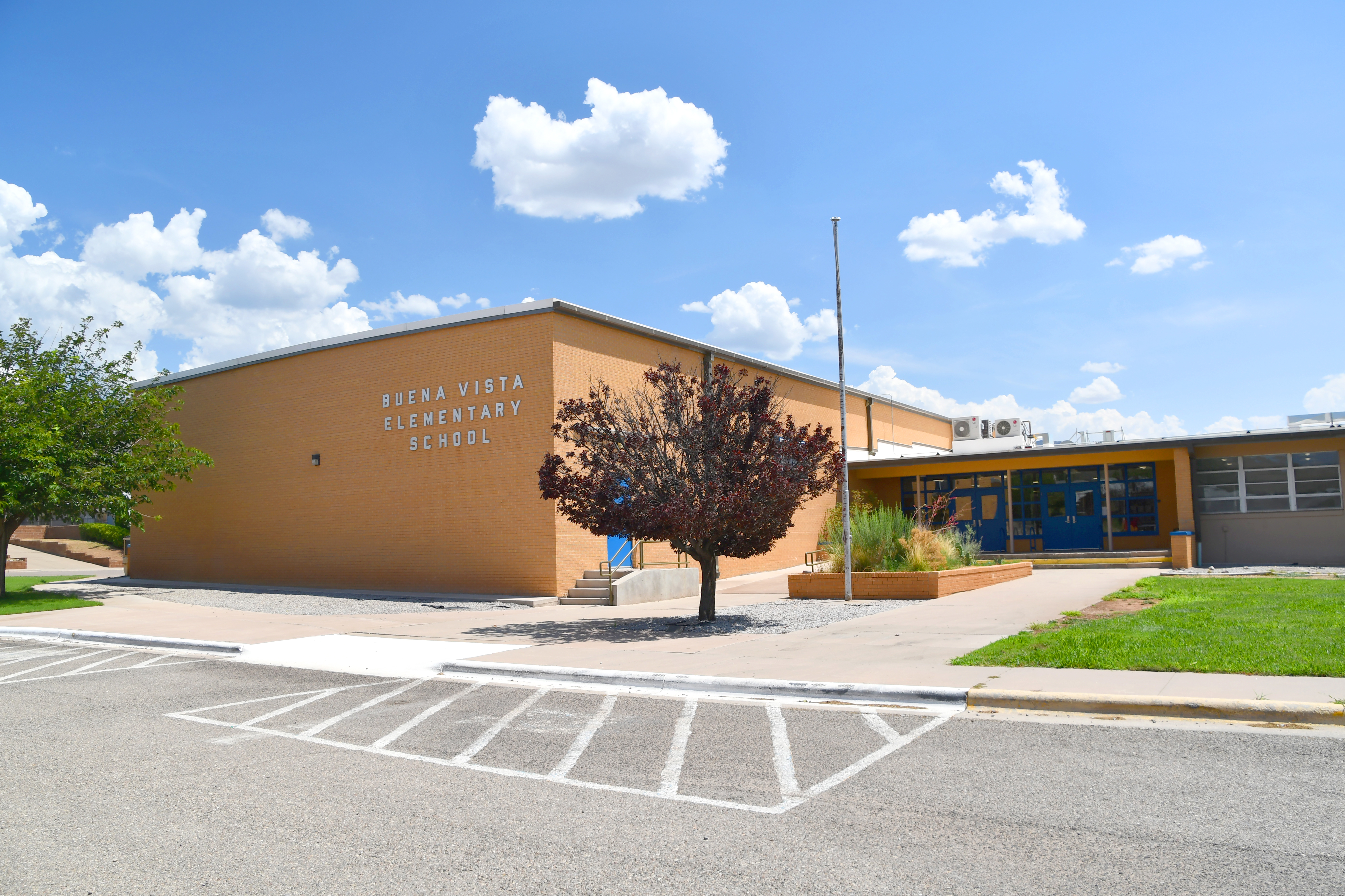 Buena Vista Elementary Entry